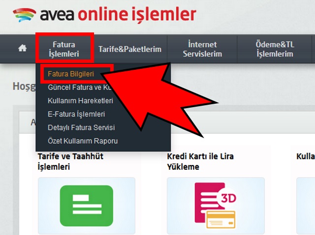 Avea Fatura Borç Sorgulama Nasıl Yapılır?